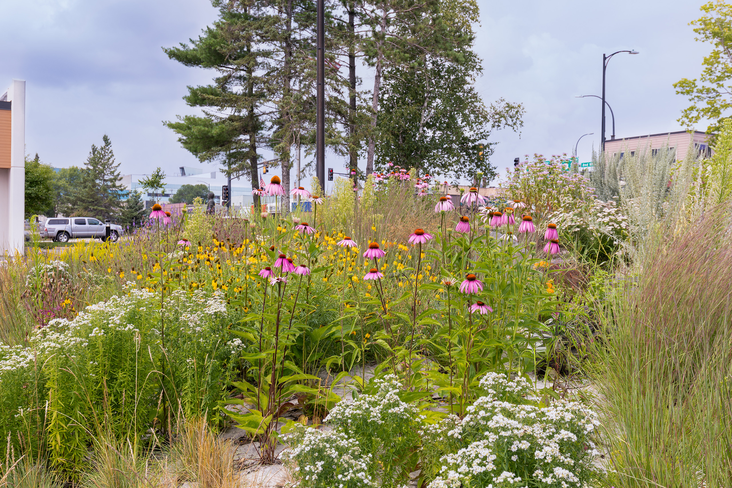 Blandin Foundation Renovation – Grand Rapids, MN -Widesth Photos August 2025 PI 34