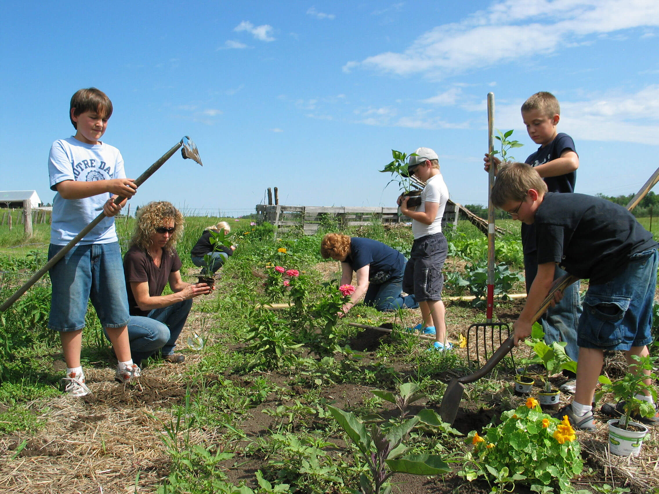 Blog hero Plant Plate 09 boys dig in