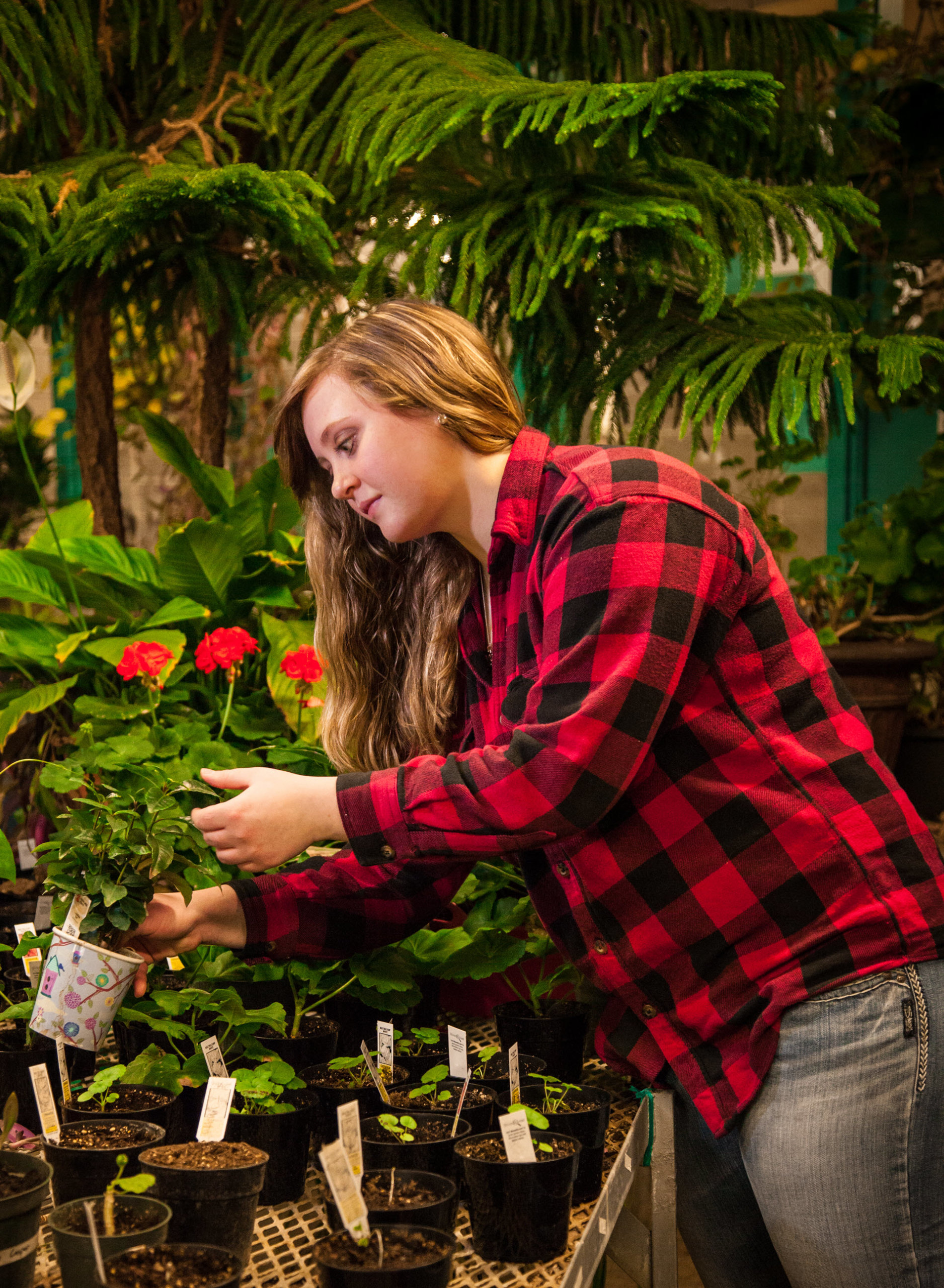 EdGrants2015_Uzelac_Greenhouse_9090