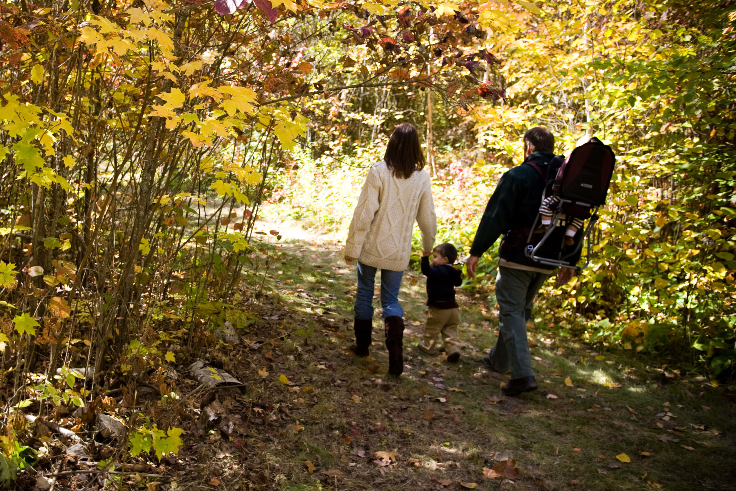 FamilyOnForestPathVFVCHomePage0621-crop