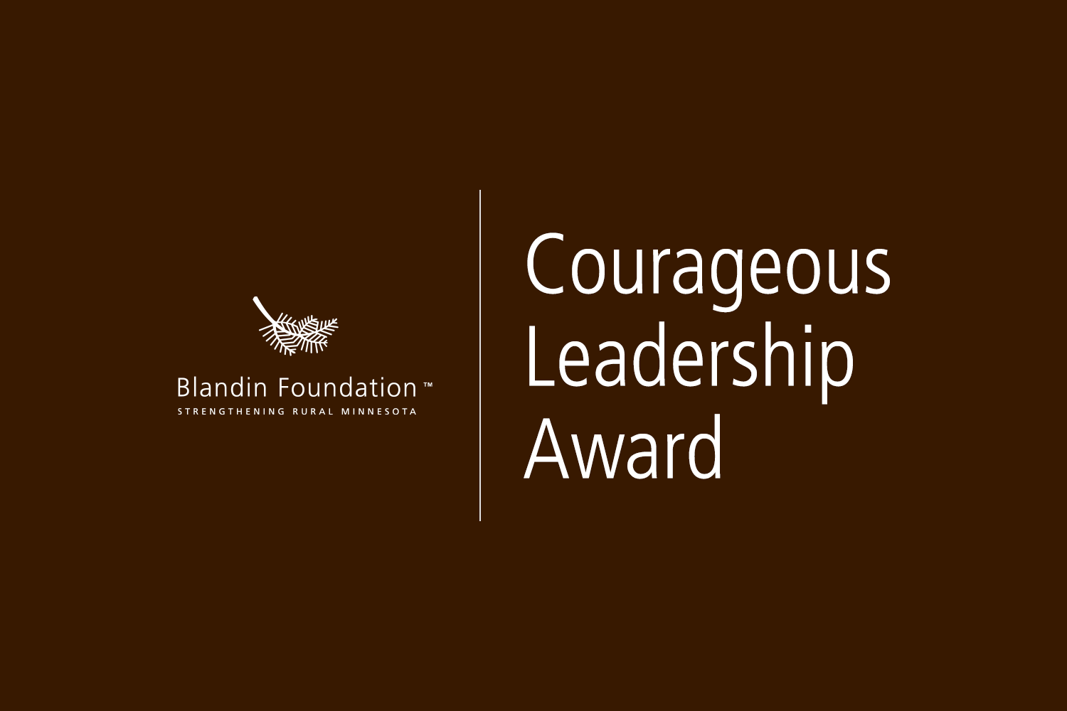 courageous-leadership-award-1500×1000