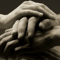 Image for News Item: Grant awards – December 2008